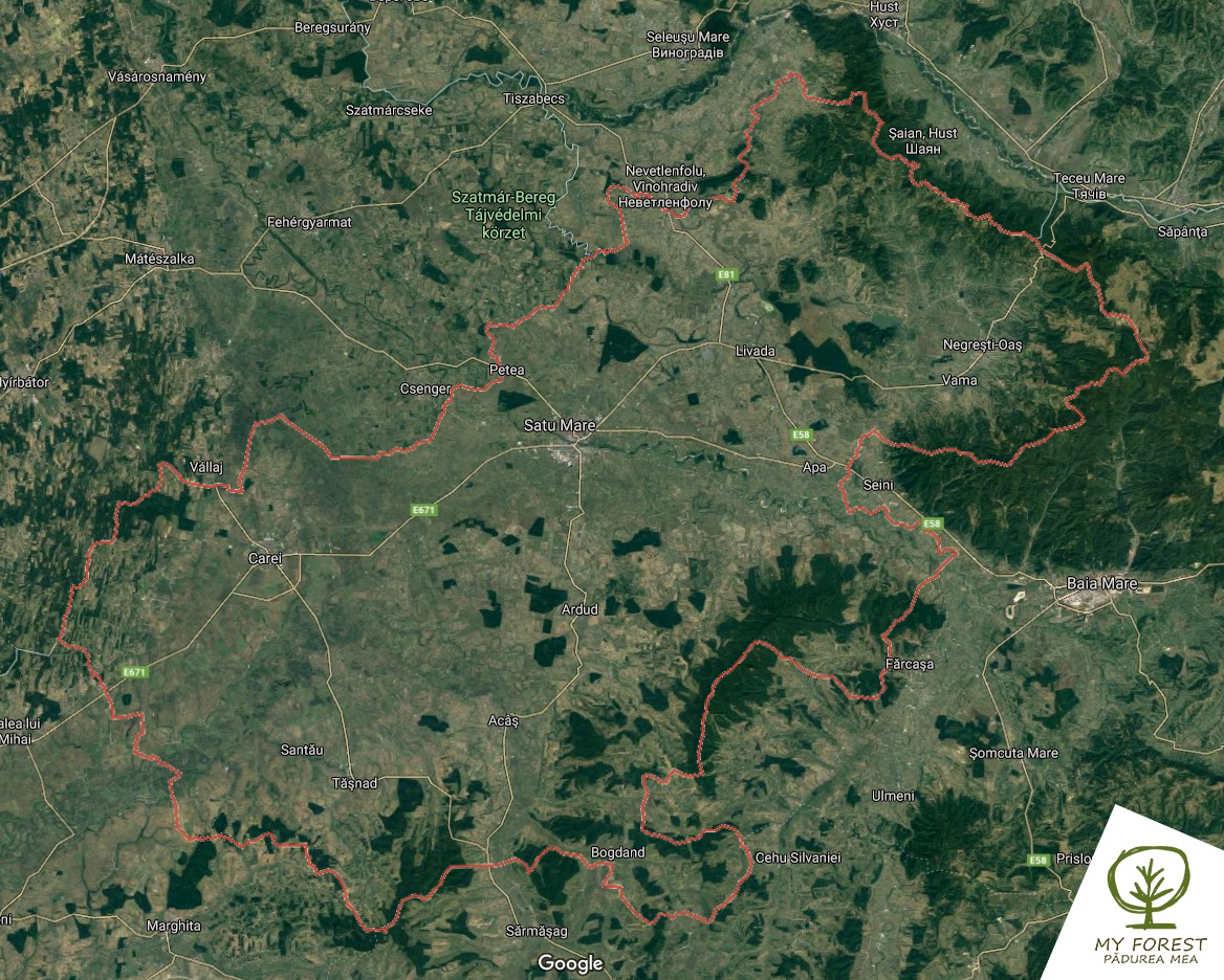 120910899_160287179075028_3166967744282379039_o