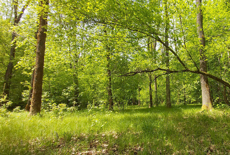 despre-noi-2 despre-noi-2