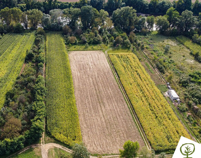 proiect_1_ proiect_1_